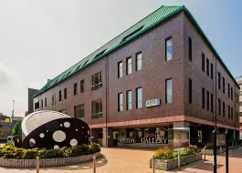 早稲田大学大学院法務研究科